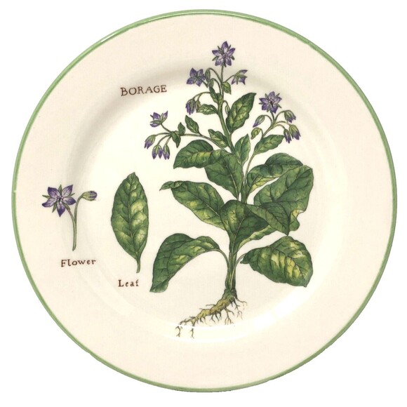 Williams Sonoma Culinary Herbs Luncheon Plates 8.75" Salad Portugal Set of 3 - Picture 4 of 12
